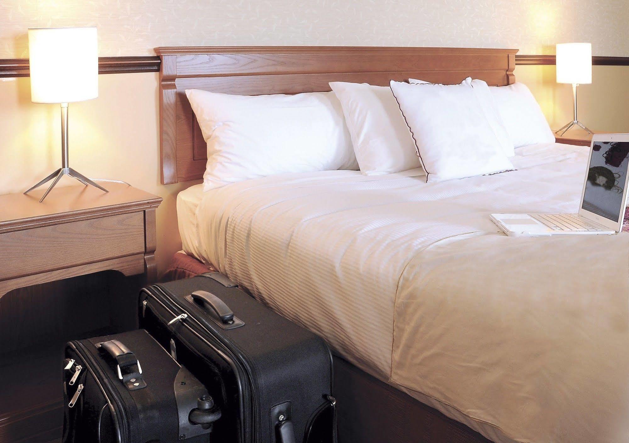Hotel Universel Alma Luaran gambar